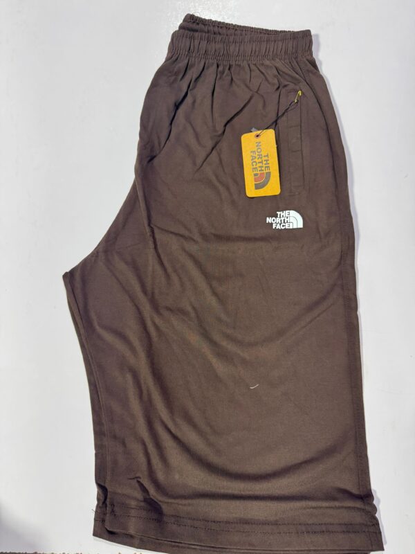 Northface FitPulse Active Shorts