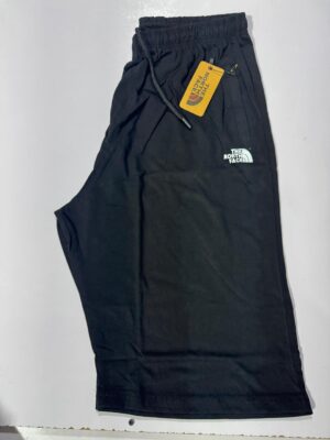 Northface FitPulse Active Shorts