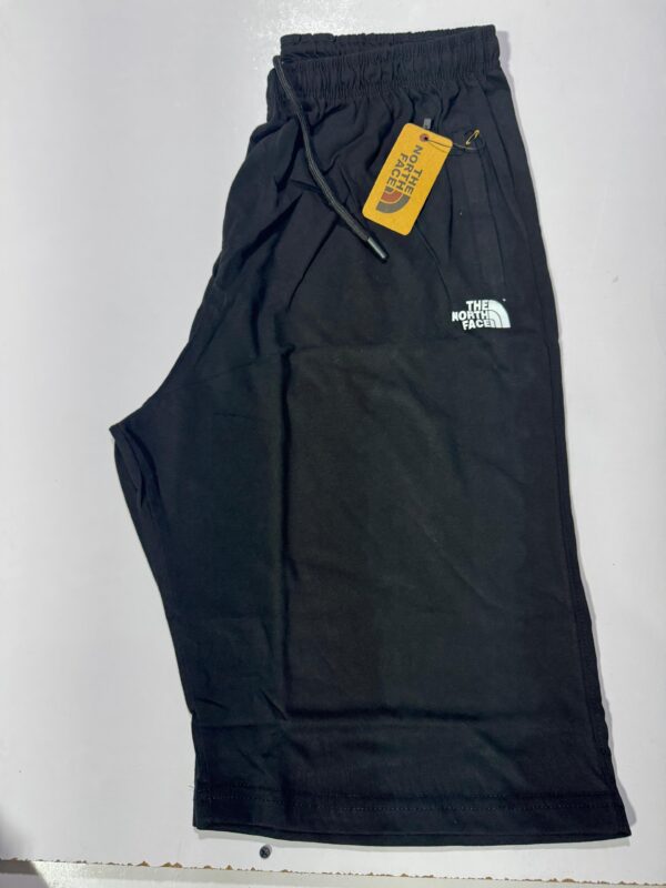 Northface FitPulse Active Shorts