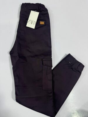 MetroCore StreetFit Cargo Trouser for Men