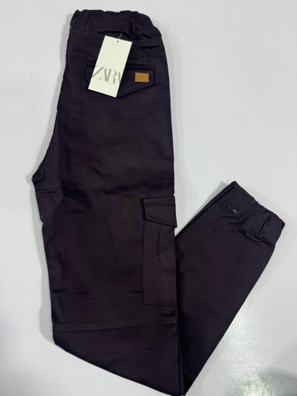 MetroCore StreetFit Cargo Trouser for Men